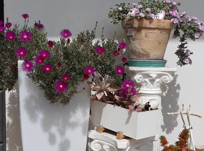 Grace צ'יטה סנט'אנג'לו